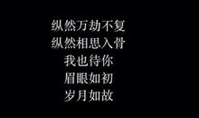 经典语录：愿你眉眼如初，岁月如故