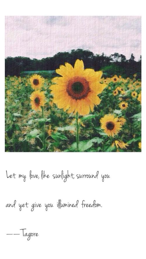 泰戈尔：玩具的自由