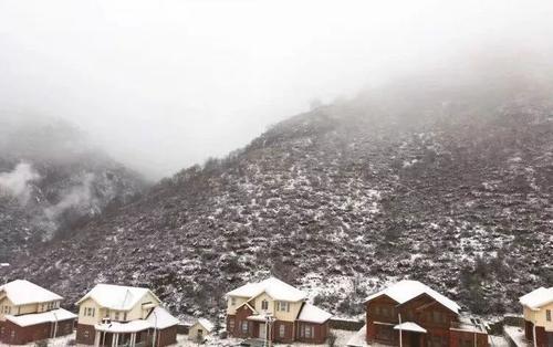 泰戈尔：山茶花