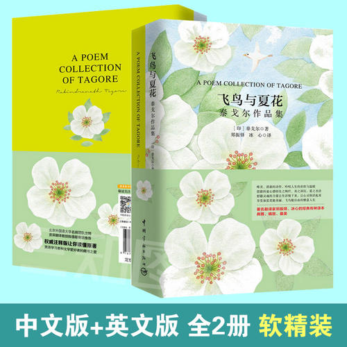 泰戈尔：儿童圣地8