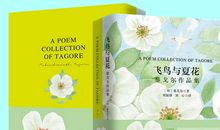 泰戈尔：儿童圣地8