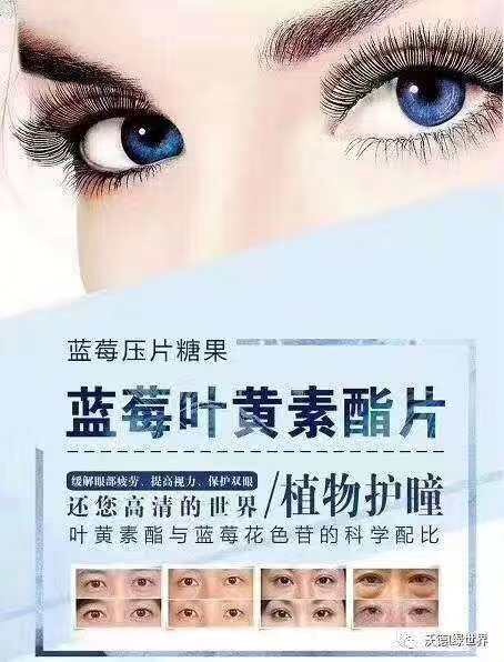 空杯子，空船，空篮子，空碗，空瓶：5个短篇小说，人生的大智慧