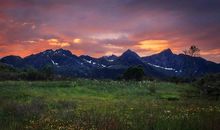 你的一生总有一段难走的路