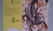 读《昆虫记》有感