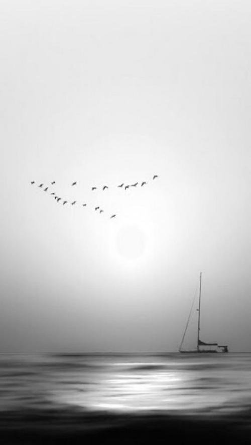 经典语录：修身养性，内心纯洁；融入世界，认真说话