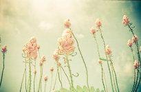 您唯一能掌握的就是成为自己最好的自己