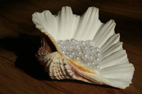 关于“把握珍珠的幸福”的思考