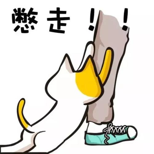 学会成为菜鸟，有一天成为凤凰