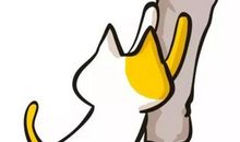 学会做一只菜鸟，是为了有一天能成为凤凰