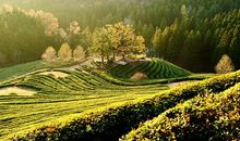 形同陌路的句子