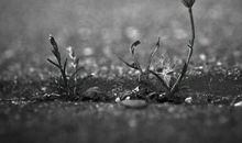 什么才是真正的坚强