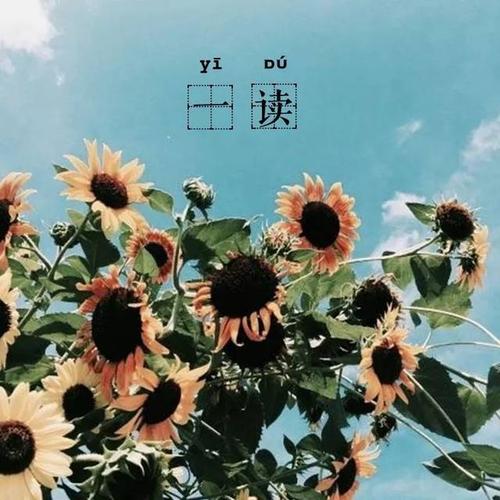 “不占优势”是一个人的成长和情商