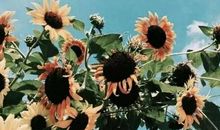 “不占便宜”是一个人的教养，也是情商