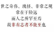 只有loser才总是抱怨他们已经尽力了