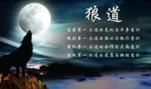 一条跛狼的奋斗史