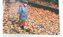 毕业生，你慢慢来