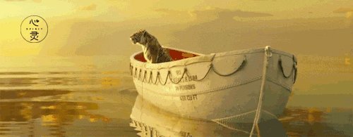 面对挫折,我必须变得更坚强