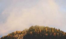 不争，不比，不求