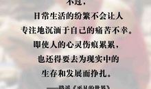 经典语录：我用尽了全力，过着平凡的人生