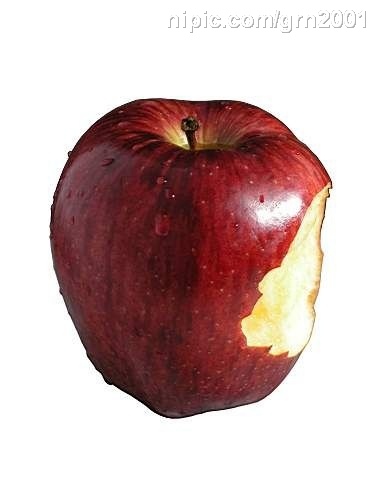 我们都是被上帝咬伤的苹果