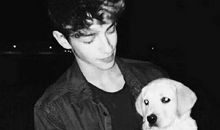 经典语录：爱到最后，成全你的自由