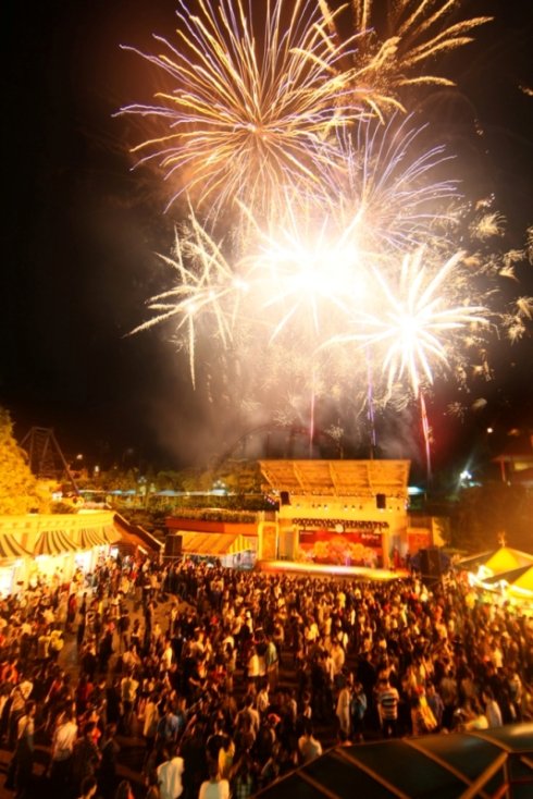 描述烟花的组成:烟花