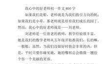 关于老师的作文：我心中的老师