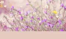 一辈子，与人相处，记住三句话