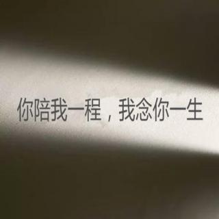 经典语录：您陪伴我旅途，我将终生怀念您