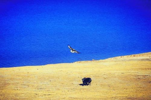 只有在公义不迟疑的情况下，我们才能勇往直前