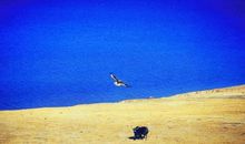 唯有义无反顾，才能勇往直前