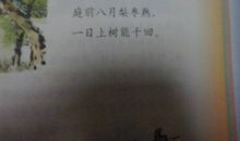 百忧集行的诗意