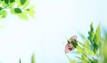 不辜负现在的人生，才是对自己最大的尊重