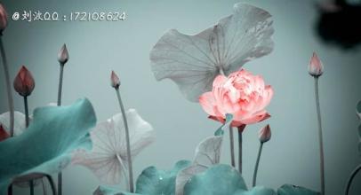 如果想成为人才，请切断不必要的分支