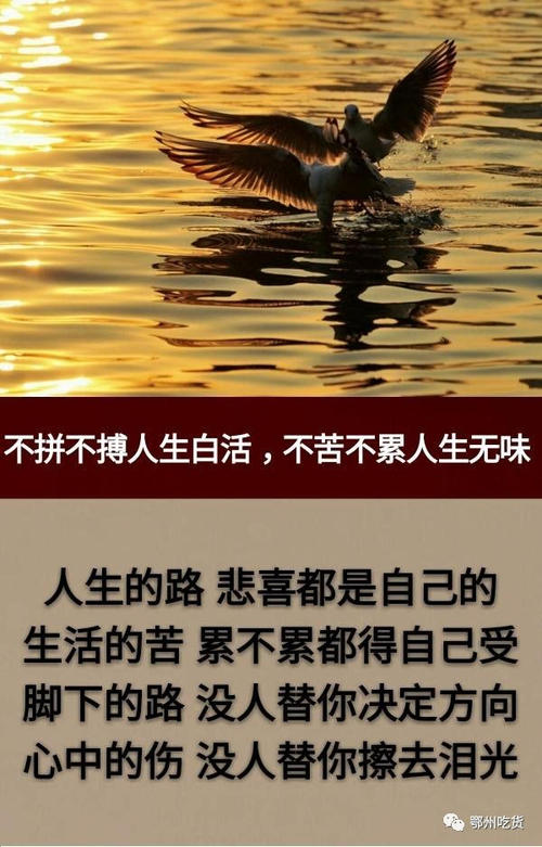 “从一所名校毕业，工资是普通大学生的三倍”：如果您现在不读书，您将终生苦恼！