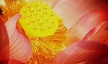 人与人之间最好的关系,就四个字