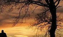 上海一位父亲立下遗嘱：女儿，你的孝心只值1块钱