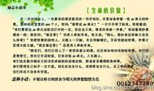 励志文章读后感：读《凡卡》有感