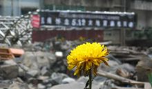 经典励志文章：鲜花与废墟