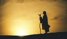 要怎样努力，才能成为很厉害的人？