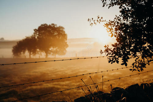 黎明是世界上增长最快的一块土地
