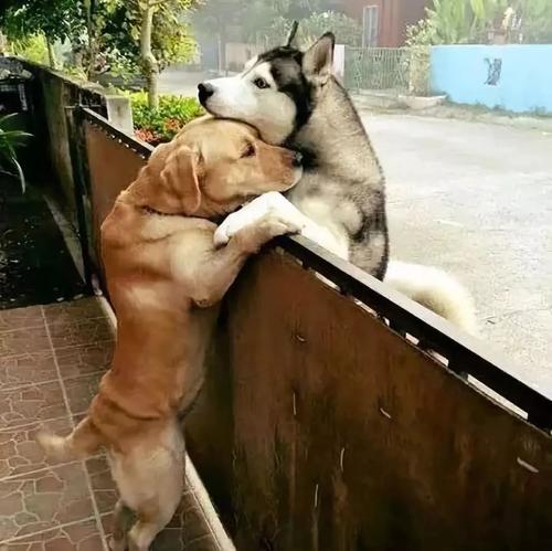 您是第一个打开爱门的人吗?