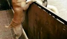 你是第一个开启爱心之门的人吗？