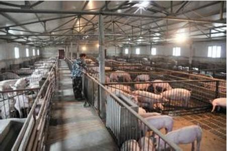 将公务保留在公司中：如何科学合理地利用一天