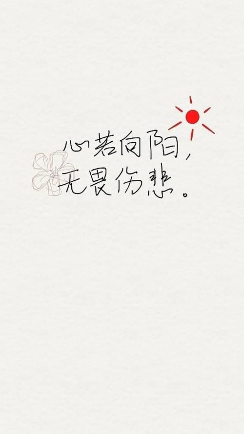 经典语录：无声花落，秋叶识秋