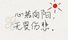 经典语录：花落无声，落叶知秋