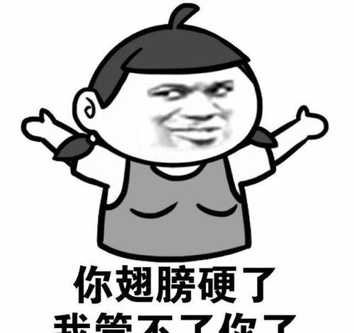 你的翅膀停在哪里