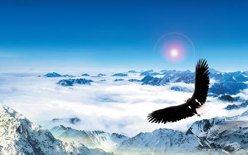 成功职业的唯一途径