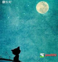 5个让您免于生气的单词