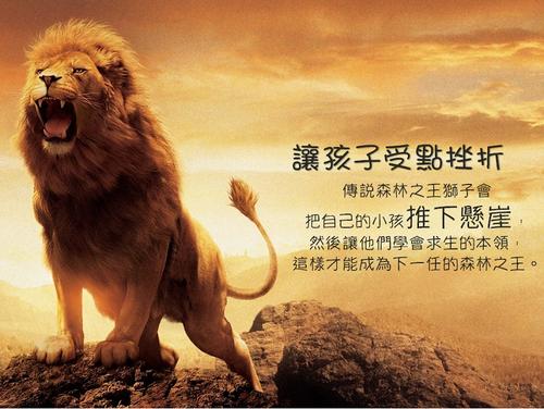 冲突和挫折是更深的发展